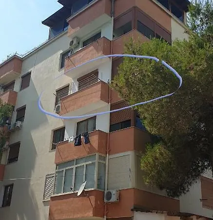 Orange * Golem (Tirana)