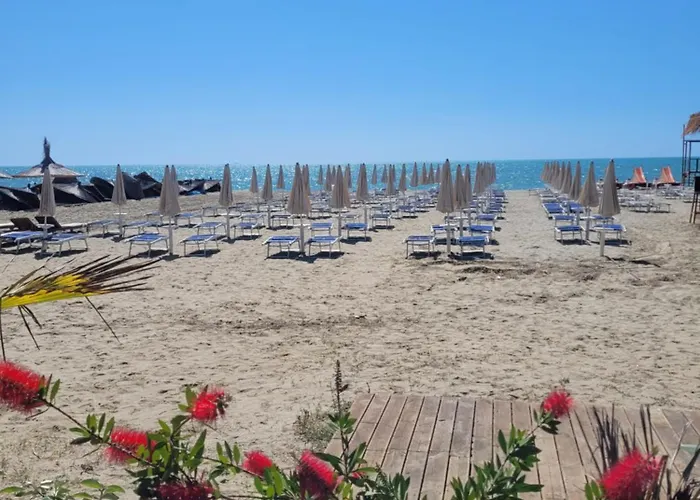 Apartment Orange Golem (Tirana)